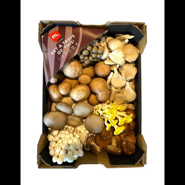 Cultivated mushroom mix 3kg