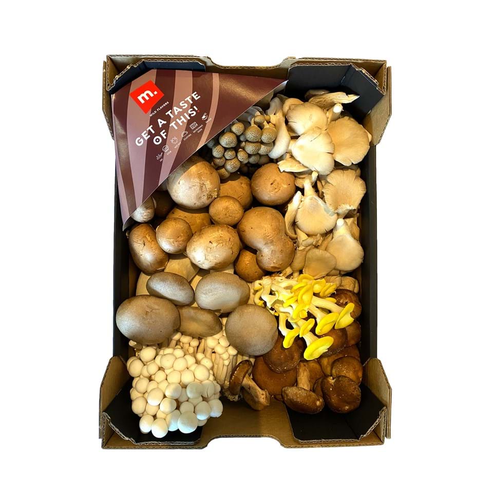 Gecultiveerde paddenstoelen mix 3kg