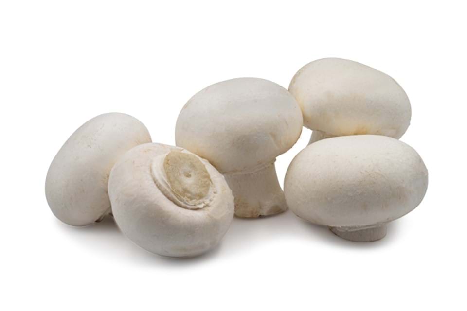 Wiite champignon (klein)
