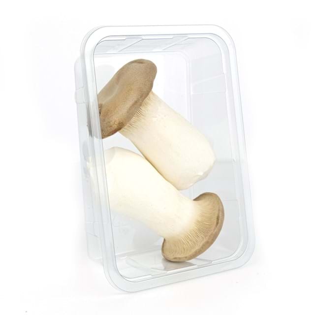 King oyster mushroom 2 pieces