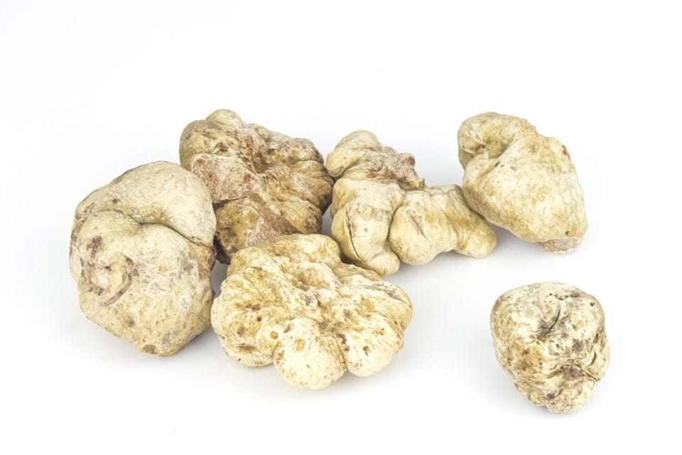 Witte truffel