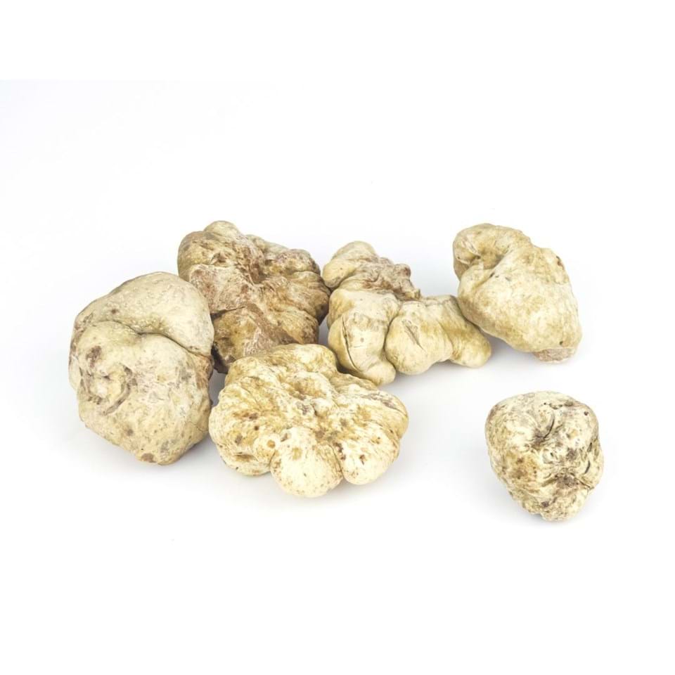 White truffle