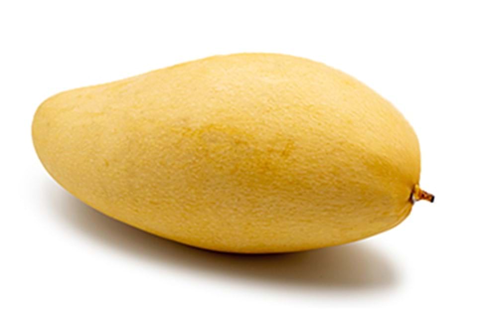 Elephant Mango
