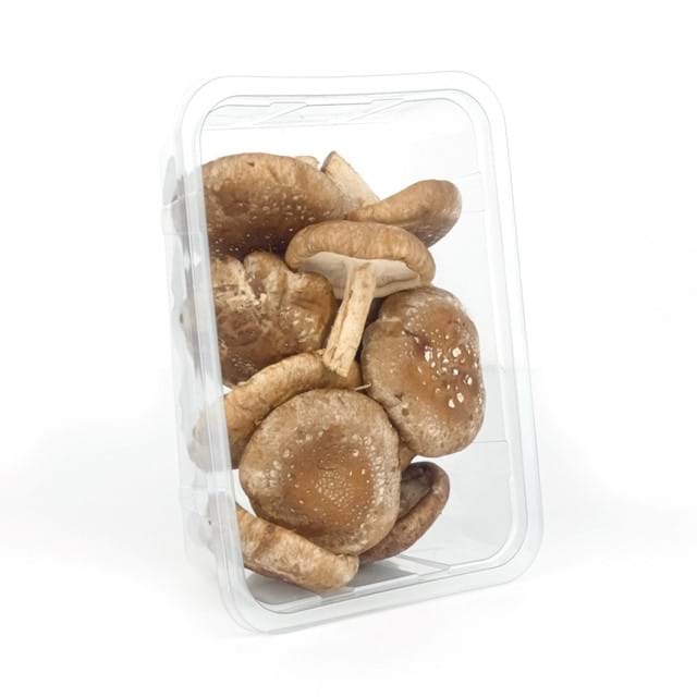 Shiitake NL XL