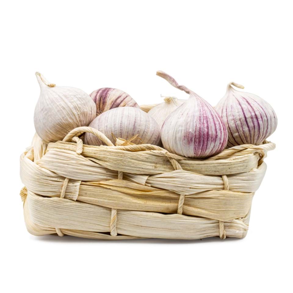 Garlic Solo