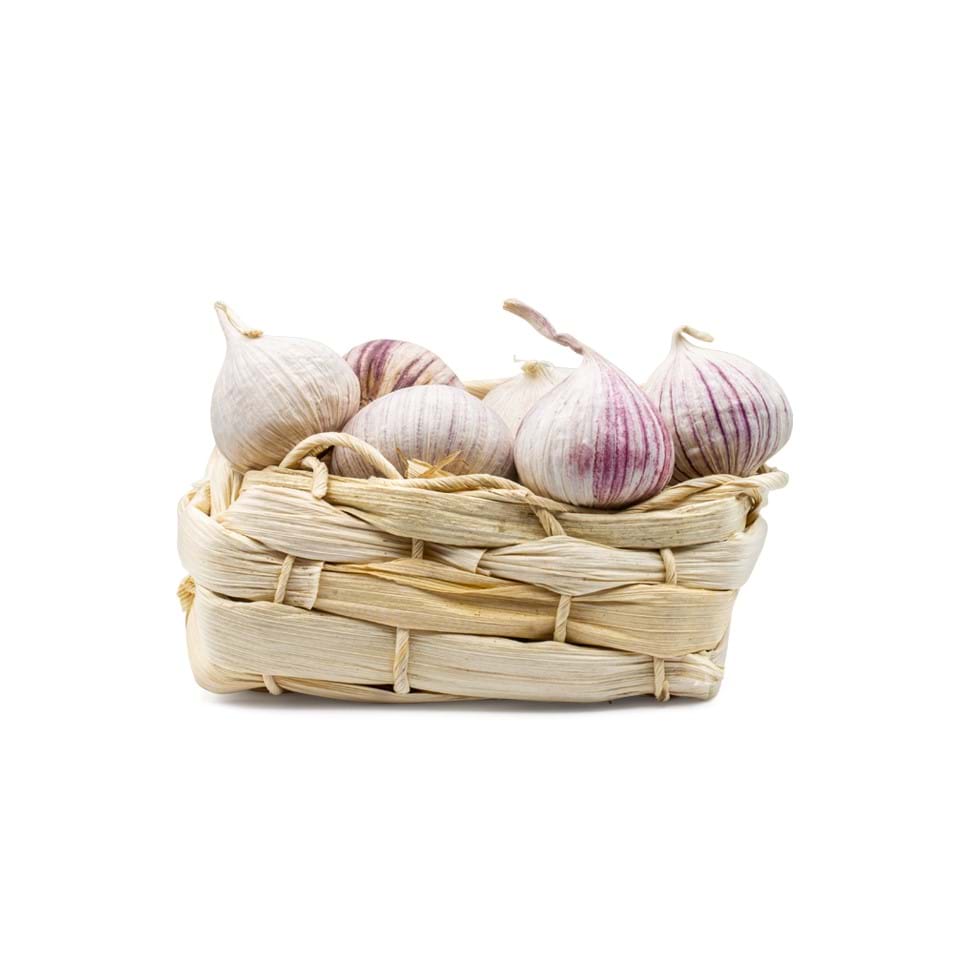 Garlic Solo