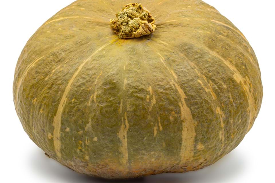 Kobocha Pumpkin