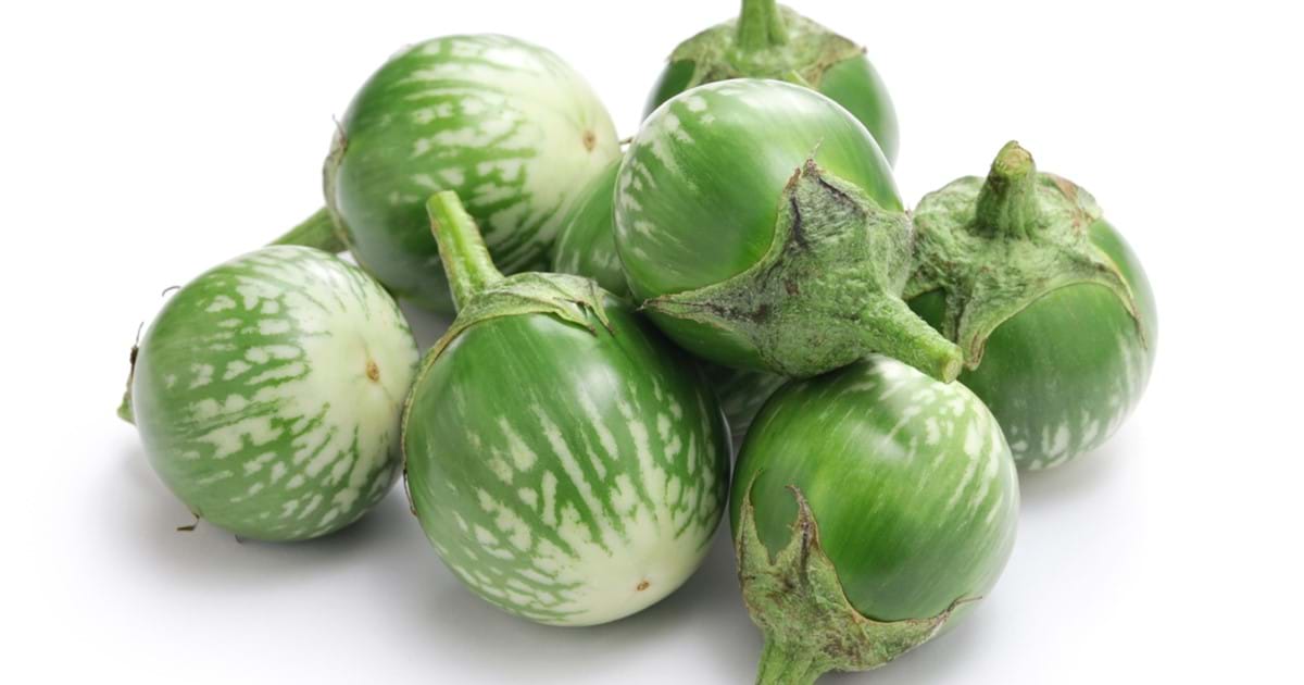 Thai Eggplant thai-eggplant