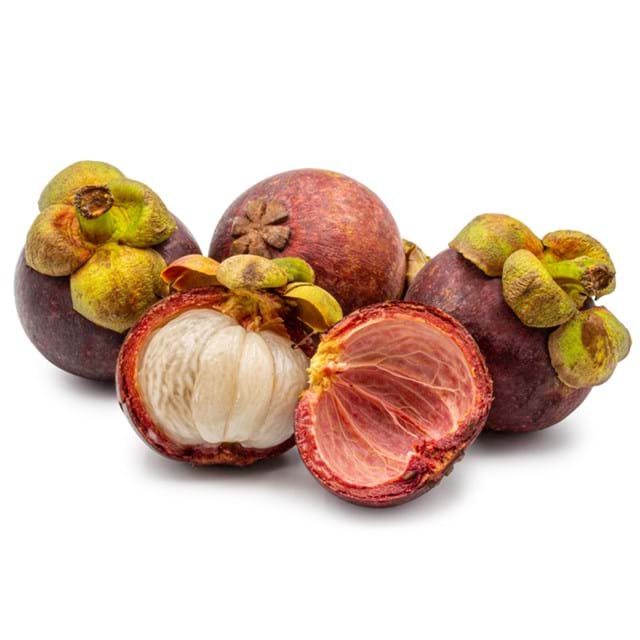 Mangostan
