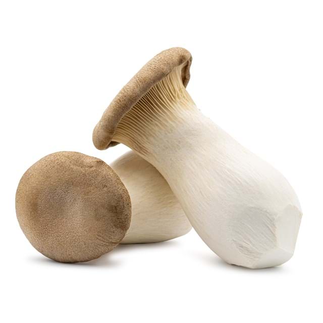 King oyster