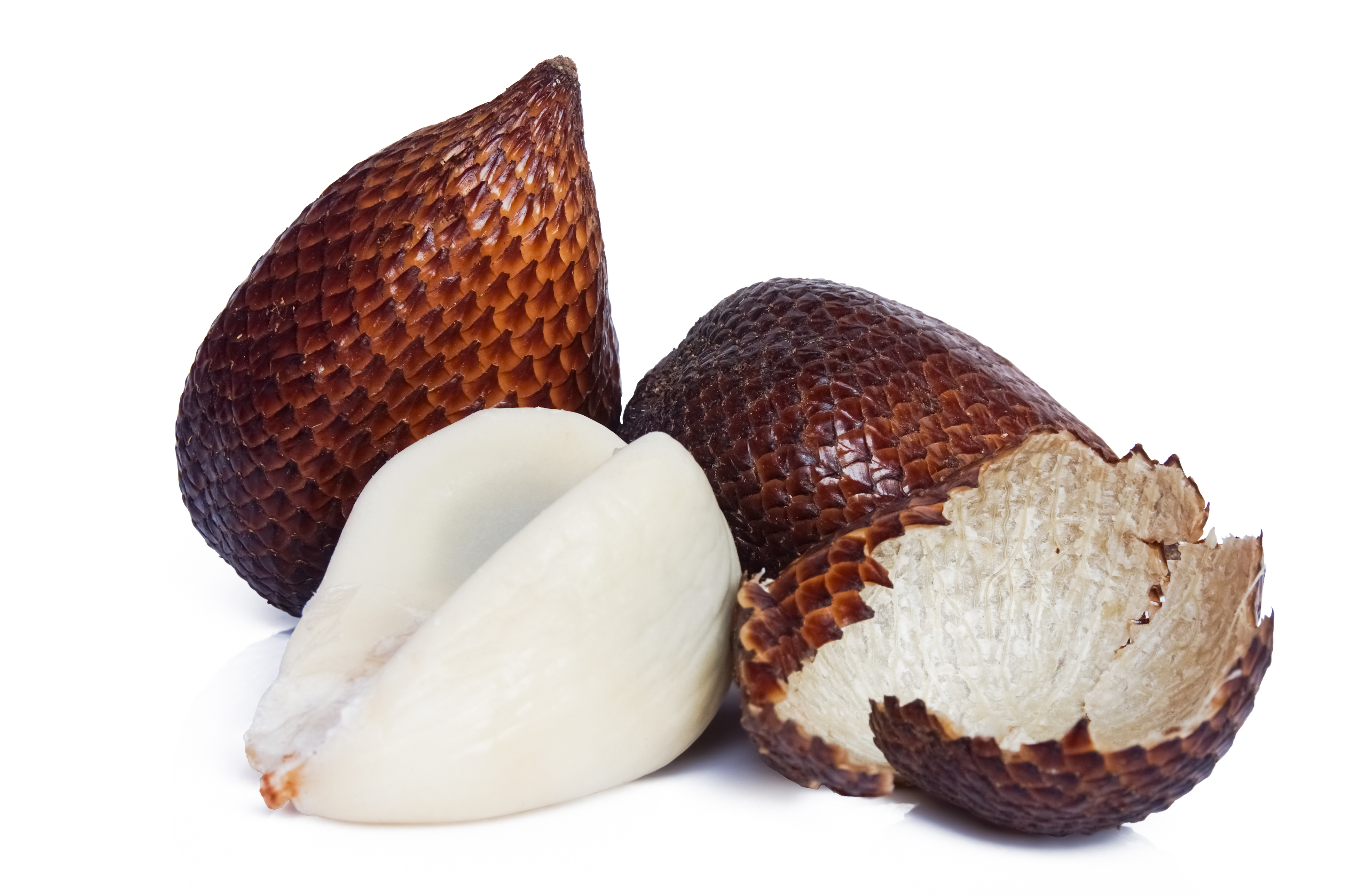 Fruit du serpent