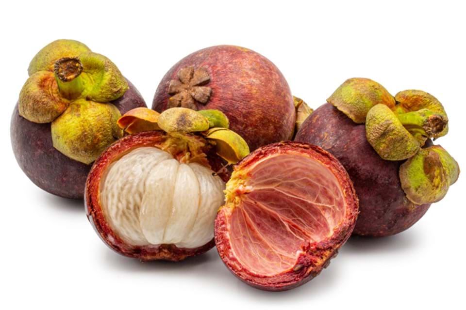 MANGOSTEEN