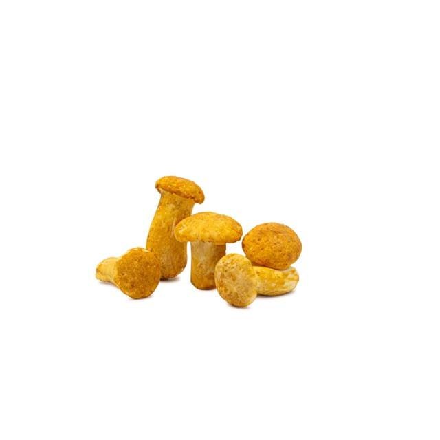Chanterelle petite