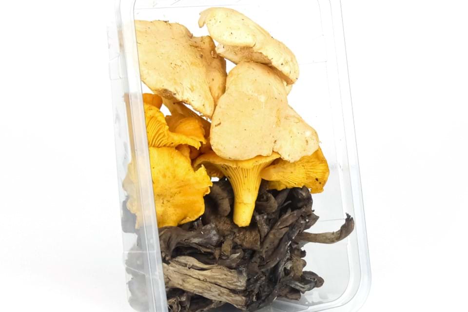 Wilde paddenstoelen mix