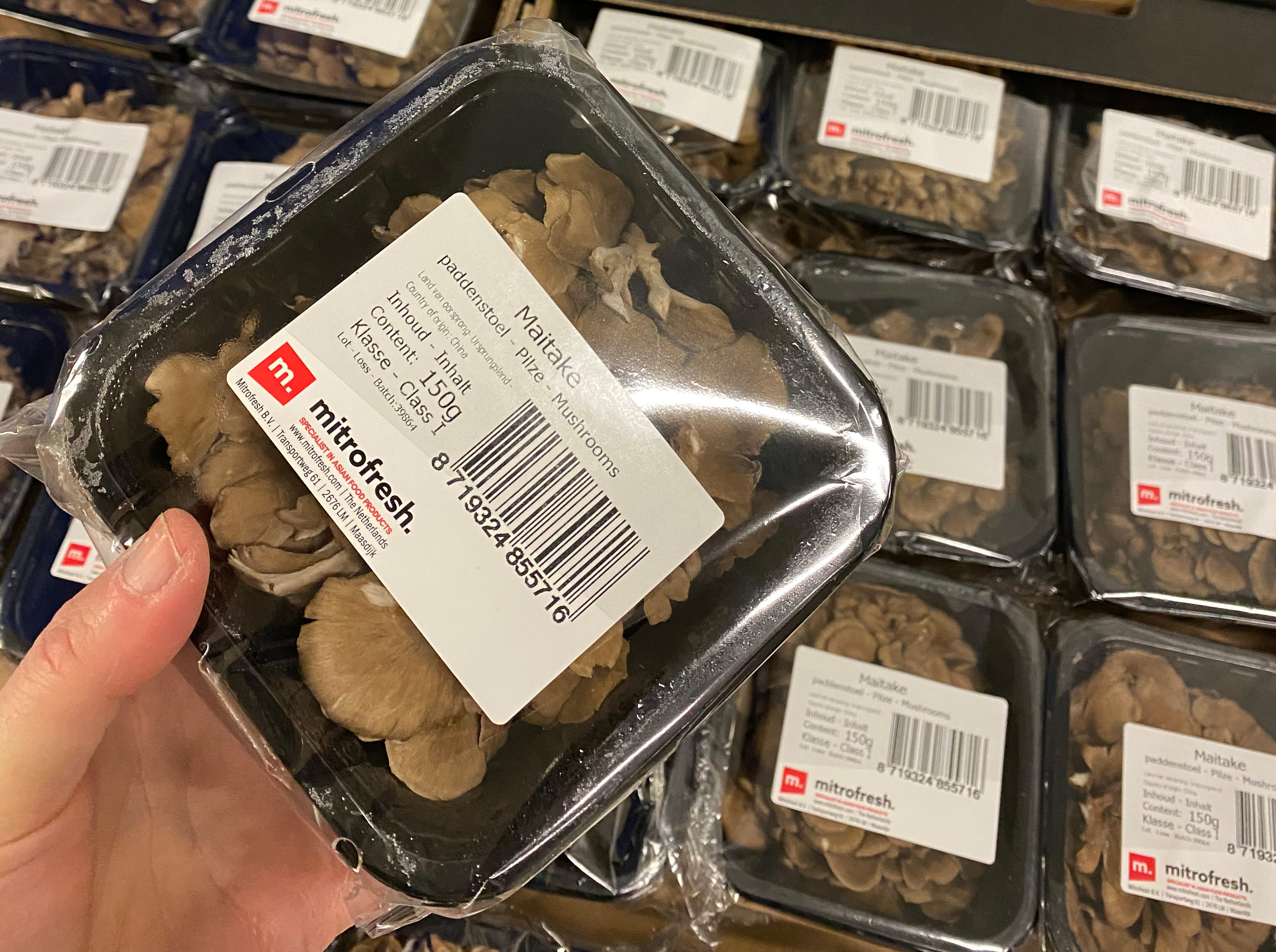 Maitake mushroom 猴头菇