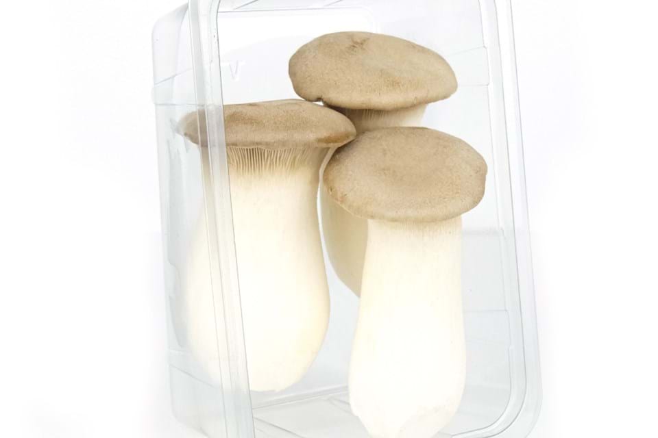 King oyster mushroom 3 pieces