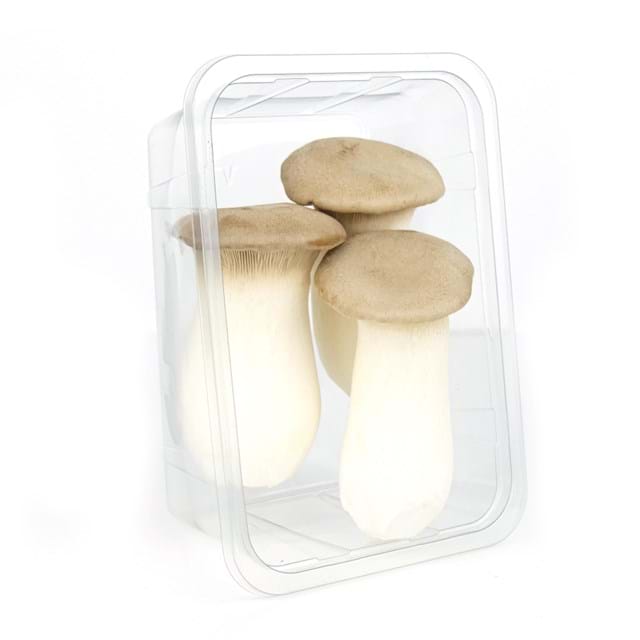 King oyster mushroom 3 pieces