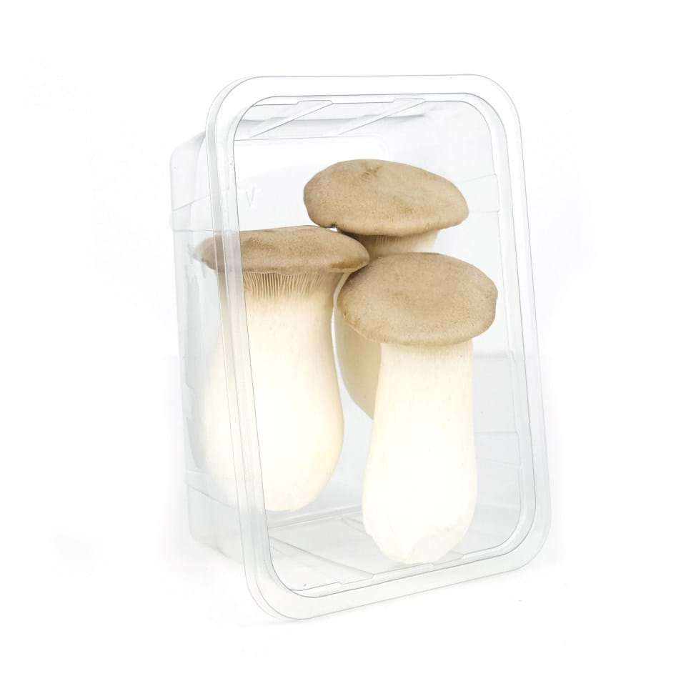 King oyster mushroom 3 pieces