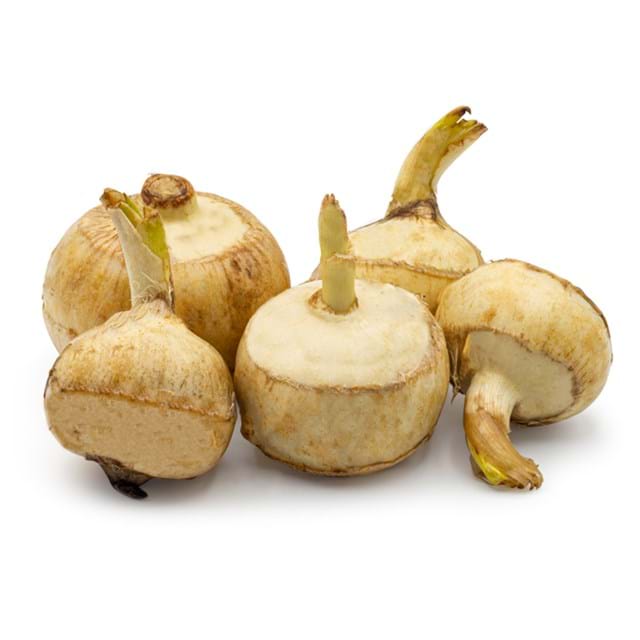 Tubercule de Sagittaire