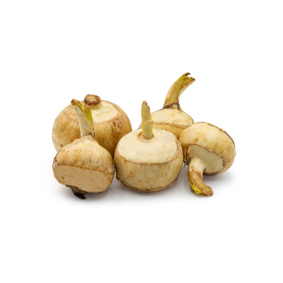 Tubercule de Sagittaire