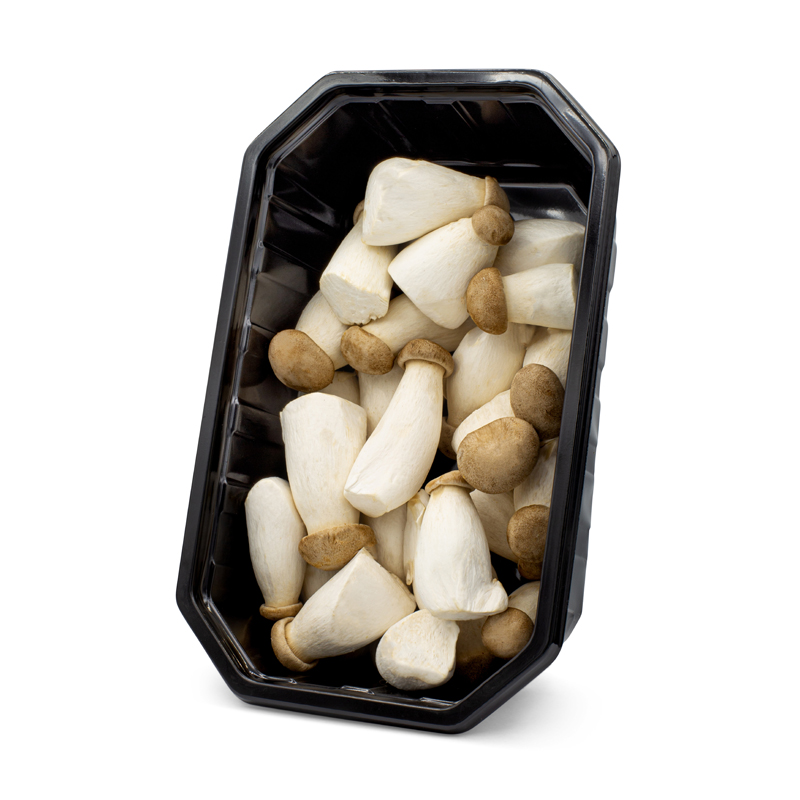 Eryngii mini 迷你 杏鲍菇