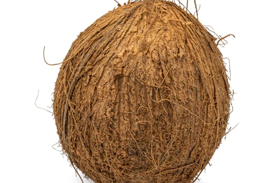 Bruine kokosnoot