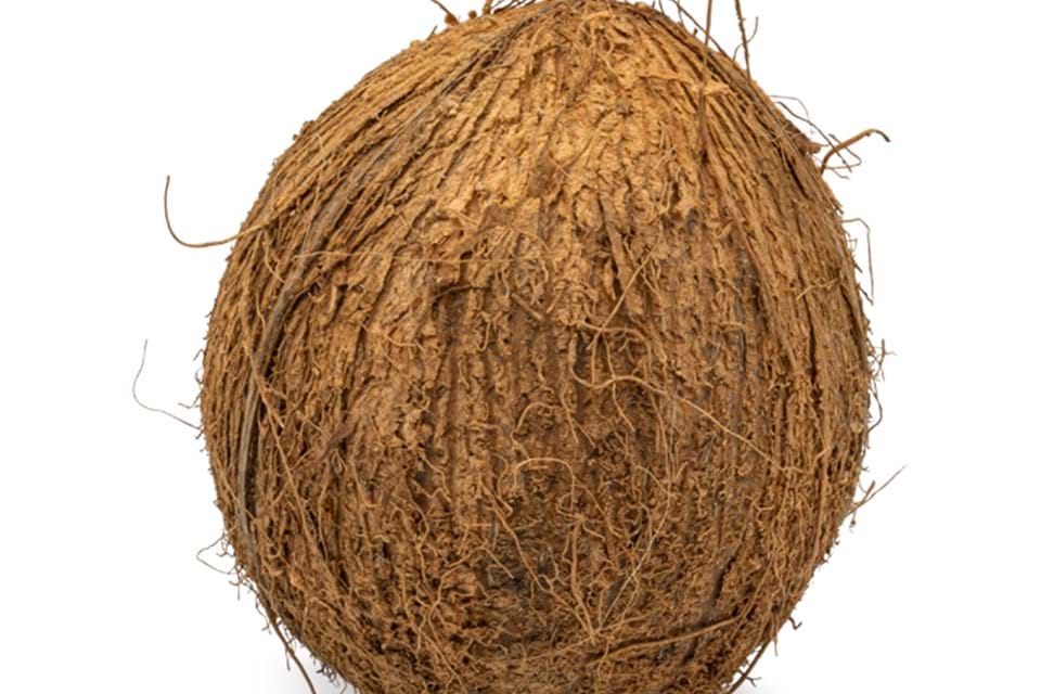 Coconuts Brown