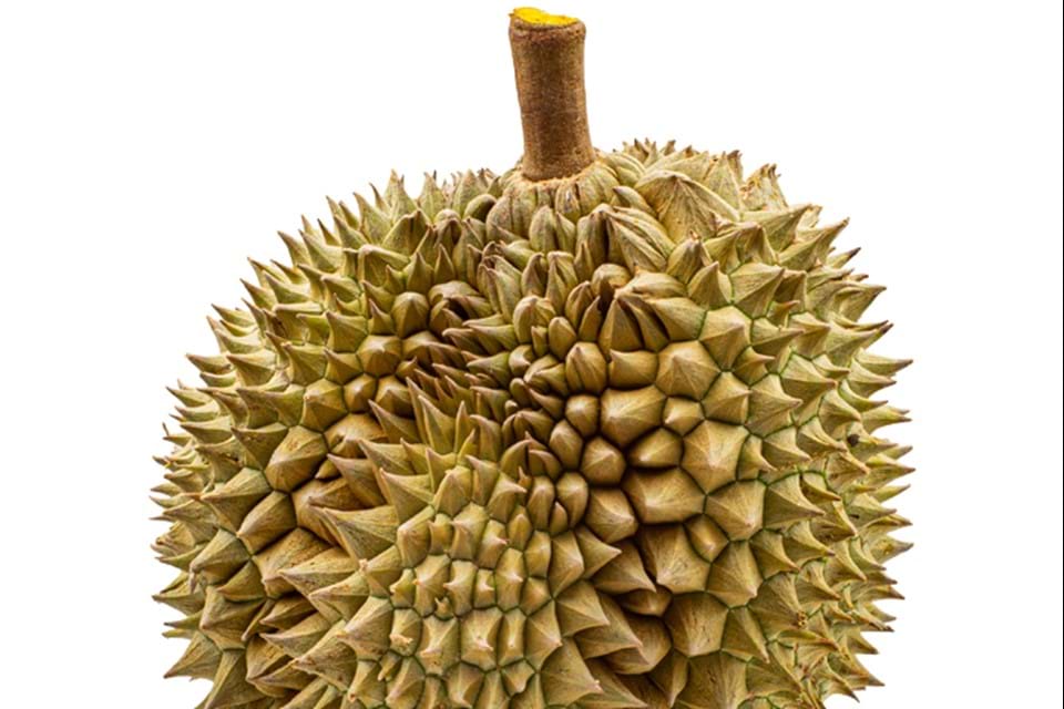 Durian