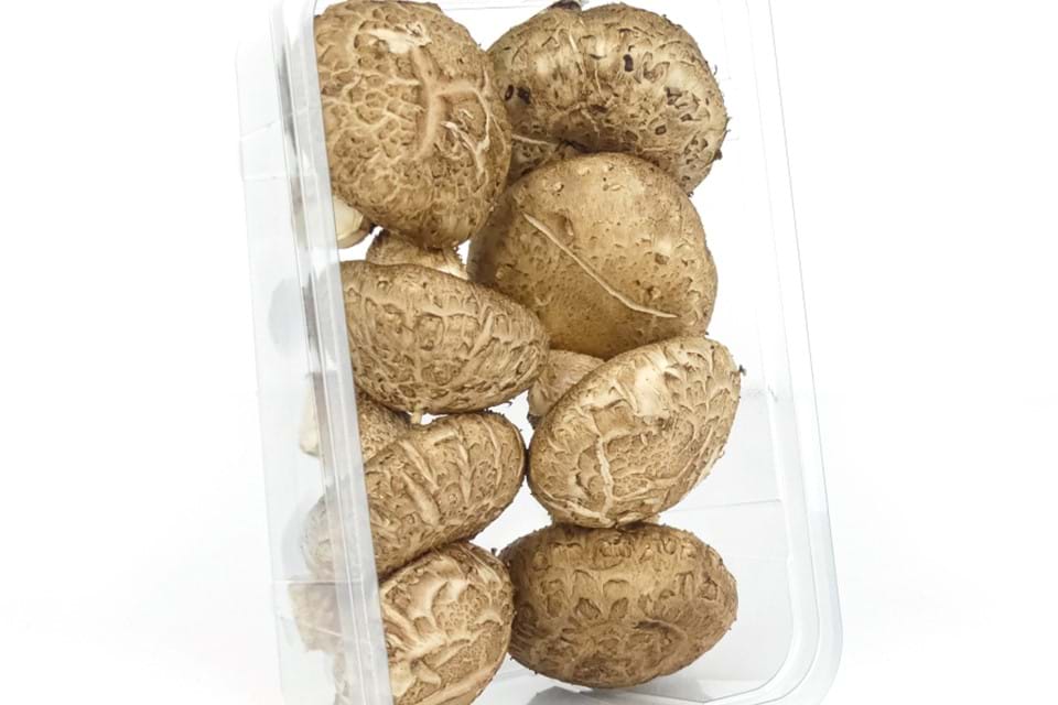 Shiitake China Medium