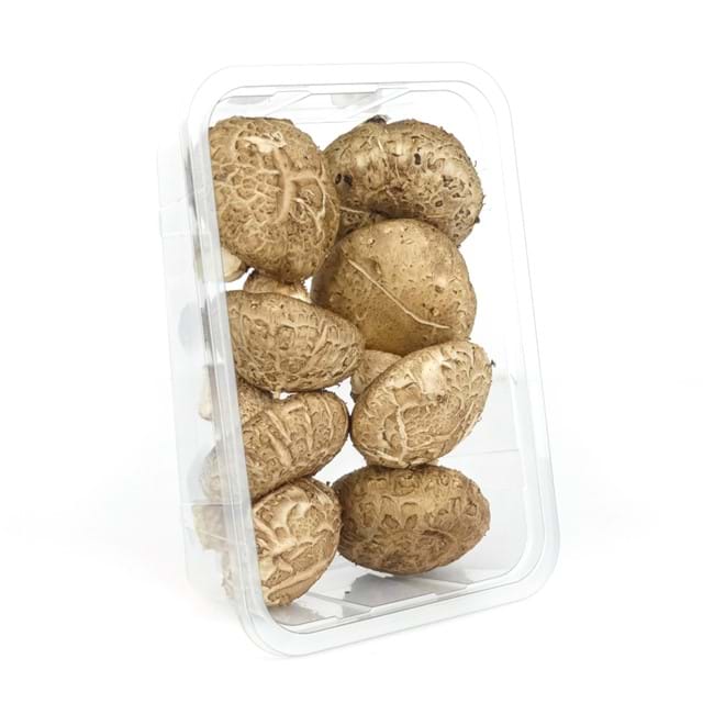 Shiitake China Medium