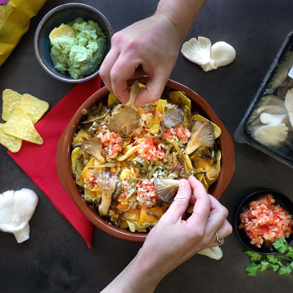 Nachos with M. Oyster Mushroom