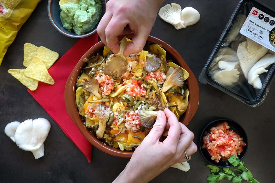 Nachos with M. Oyster Mushroom