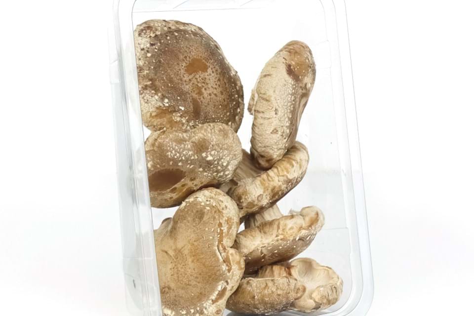 Shiitake NL