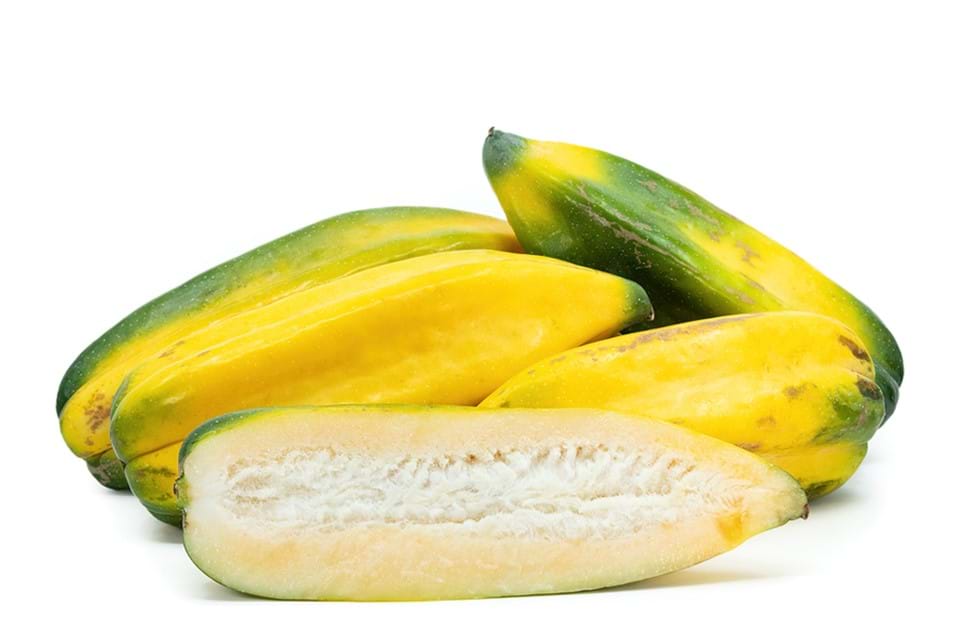 Babaco Papaya