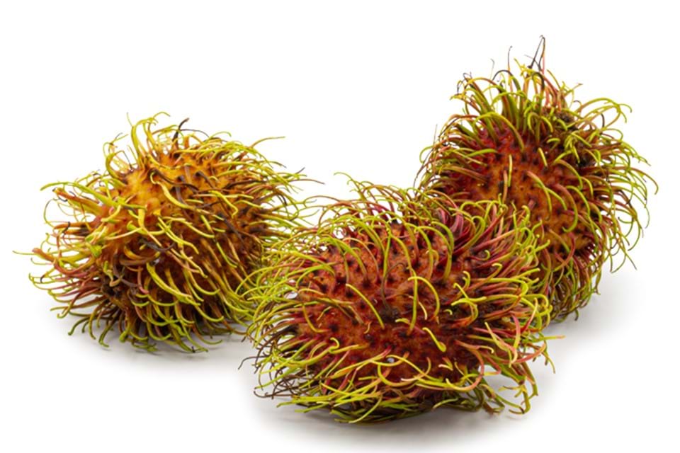 Rambutan