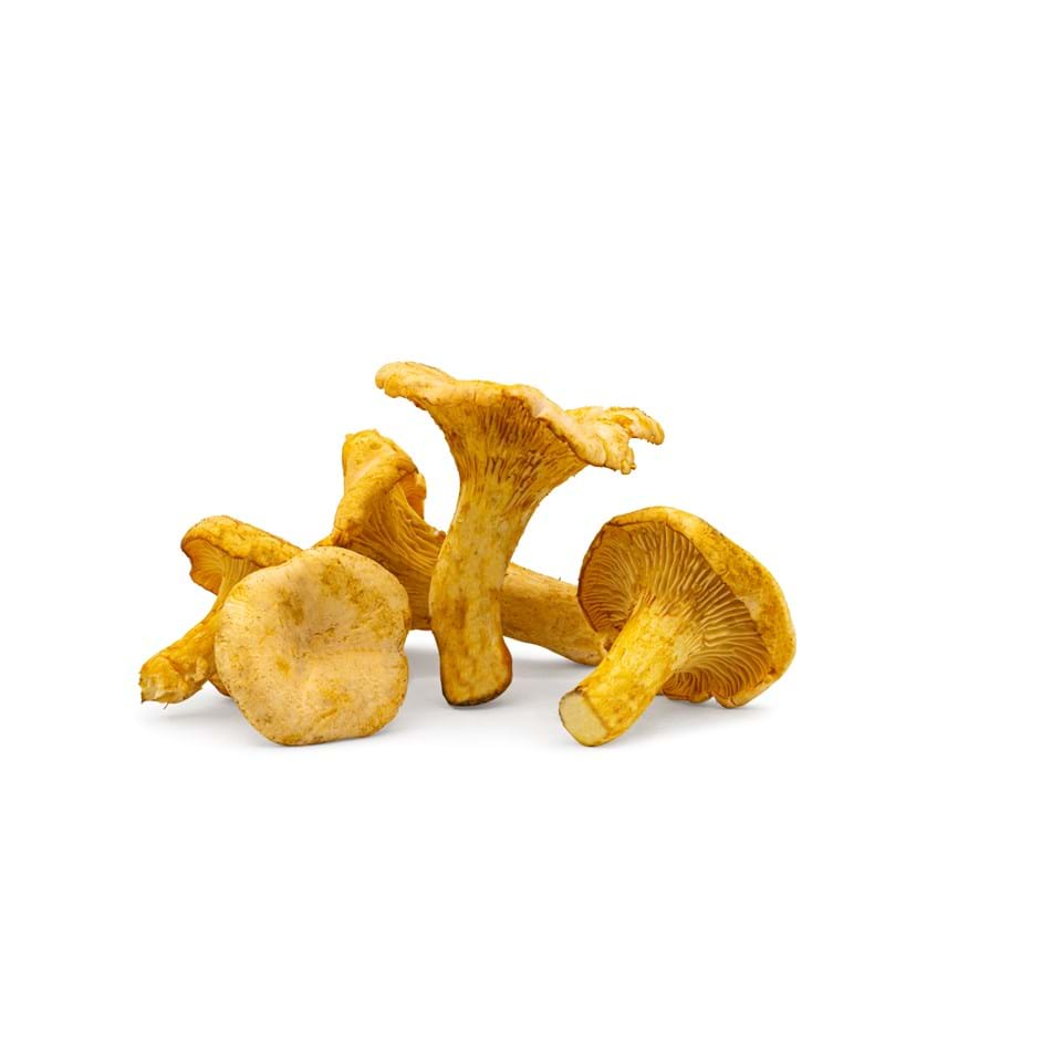 Chantarelle