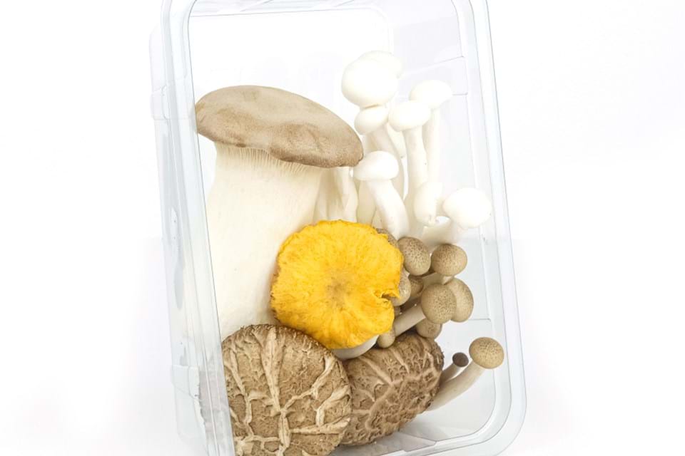 Premium mushroom mix