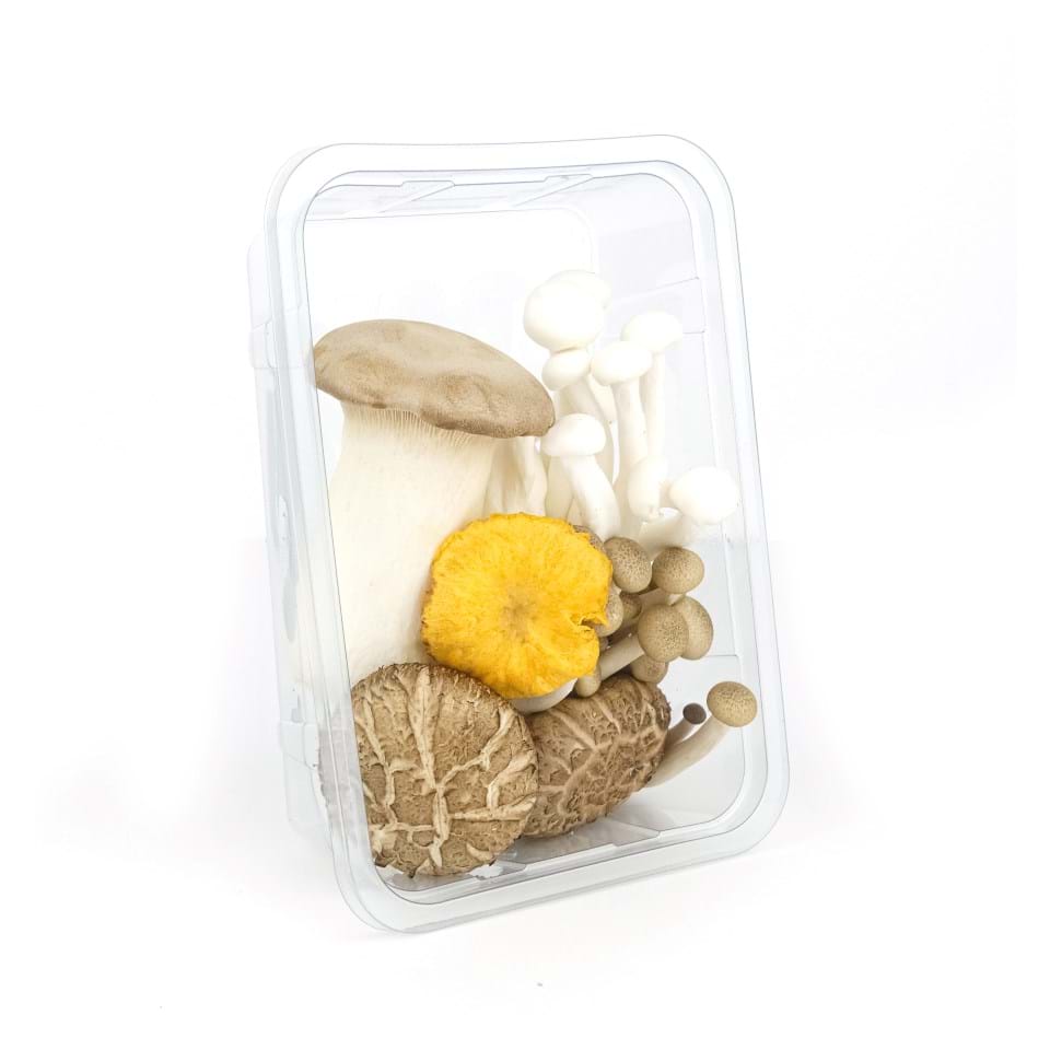 Premium paddenstoelen mix