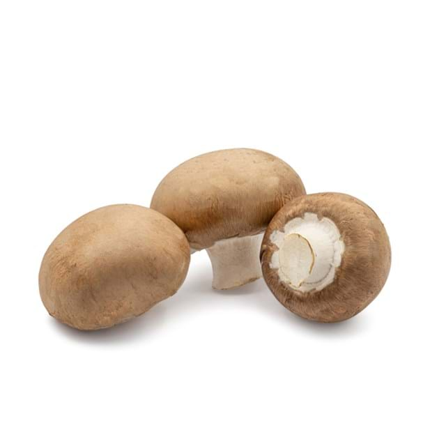 Kastanien Champignon