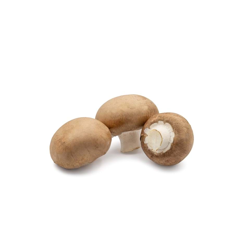 Kastanien Champignon