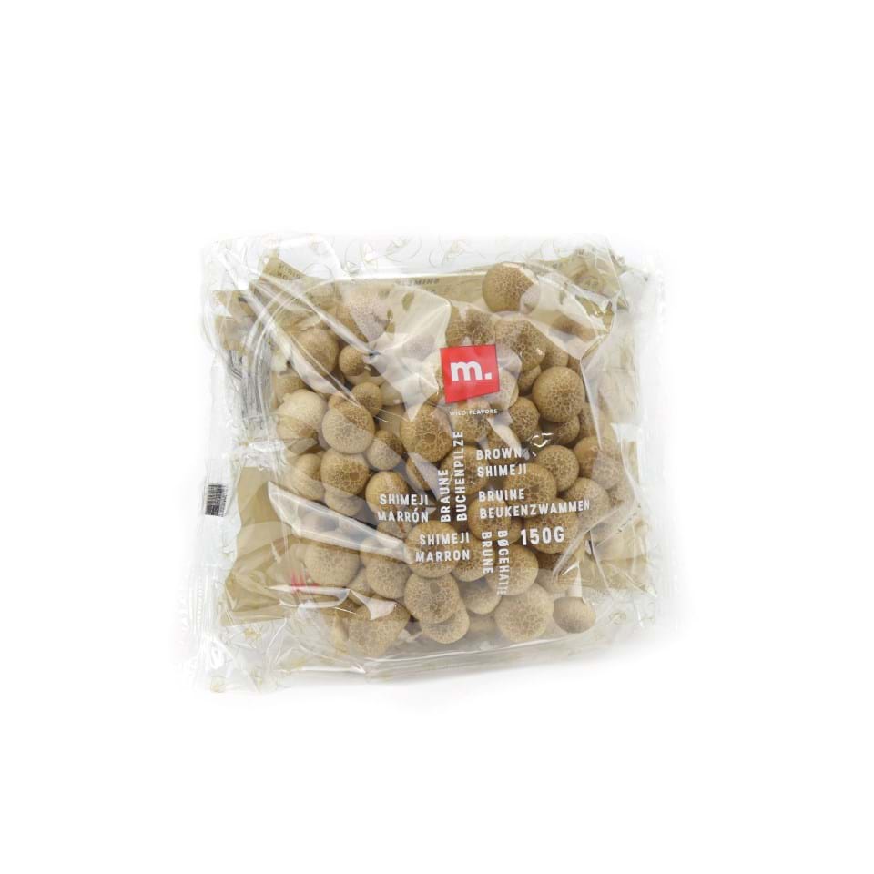 Buna shimeji / Buchenpilz braun