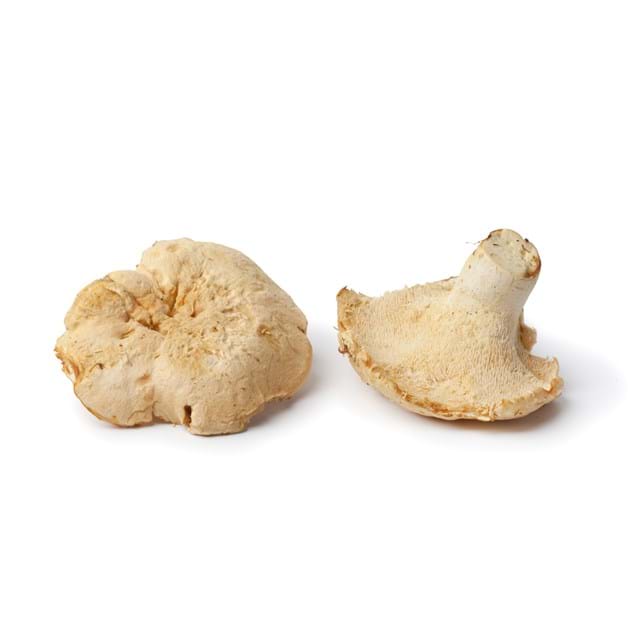 Semmel-Stoppelpilz