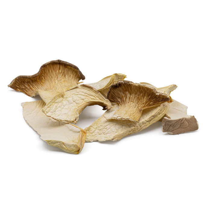 Dried (wild) mushrooms Mitrofresh Wholesale of exotic & Asian products