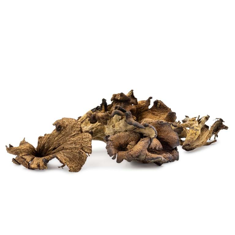 Temps De Cuisson Trompettes De La Mort Les Trompettes De La Mort – Cuisine à L'ouest 26 Trompette de la mort